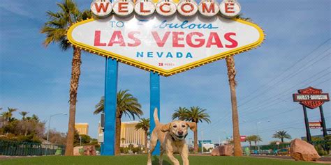 pet friendly hotels in jackpot nevada